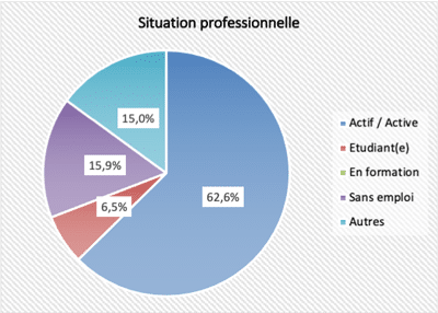Profils des participants - Situation professionnelle